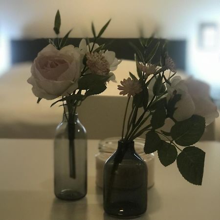 Tiny Apartment Spring ドレスデン エクステリア 写真