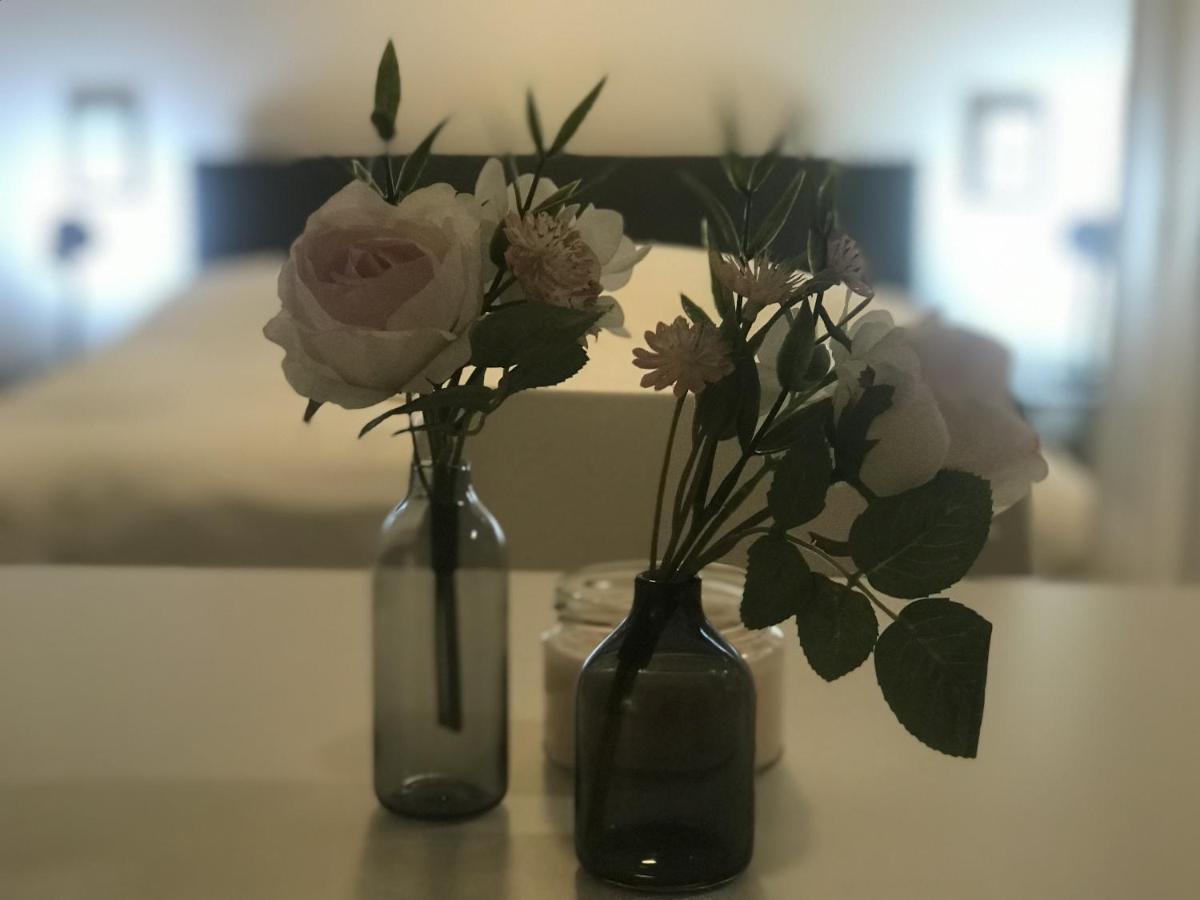 Tiny Apartment Spring ドレスデン エクステリア 写真